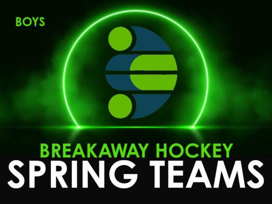 Spring Hockey teams for Boys in Kitchener Waterloo area